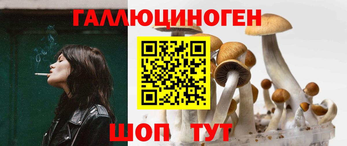 Псилоцибиновые грибы Magic Shrooms  Вход с VPN  Армавир 